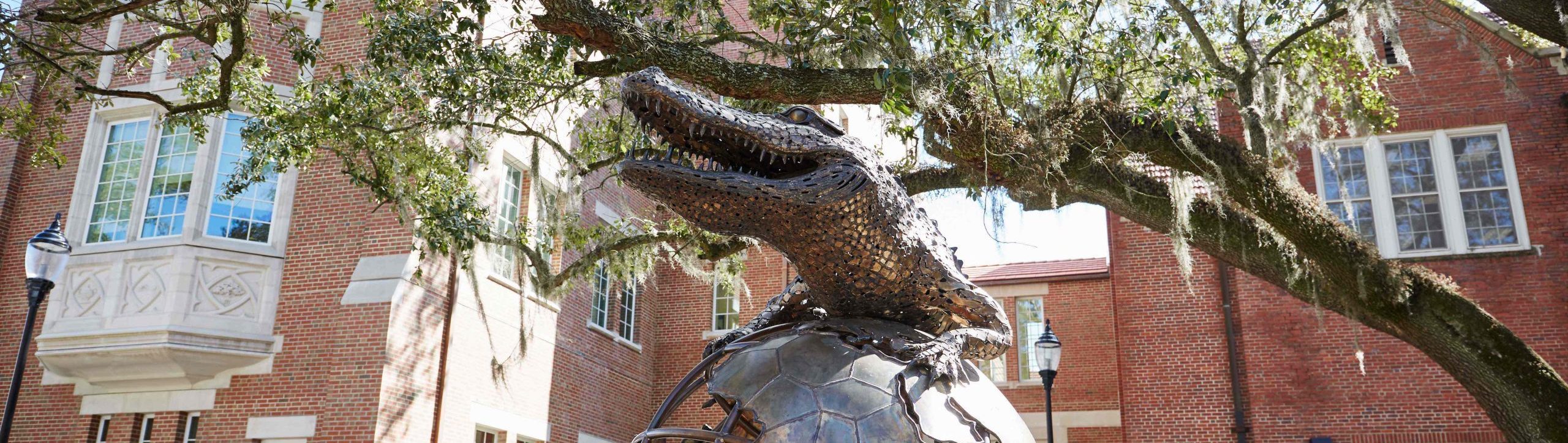 Gator statue on UF campus