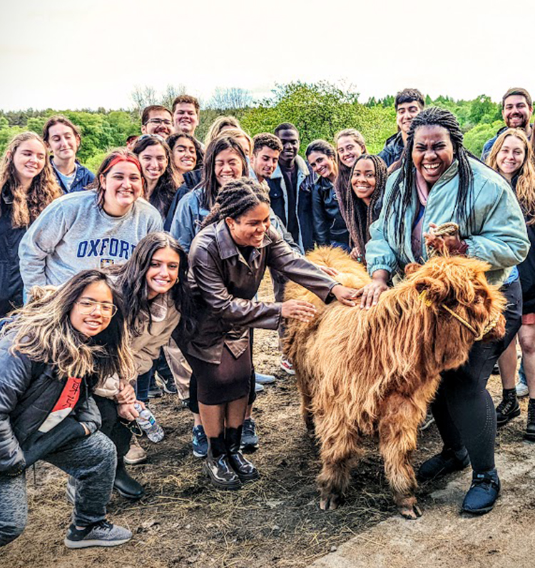 The group pets a Highland cow.